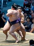 大の里2勝目、霧島は初黒星