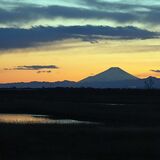 夕暮れ時、空のかなたに浮かぶシルエット　渡良瀬遊水地から望む富士山