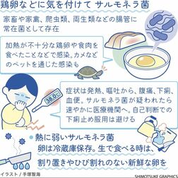 サルモネラ菌　卵は割り置きなどせずに　冷蔵保存し、賞味期限内に【白鷗大・岡田教授が解説】