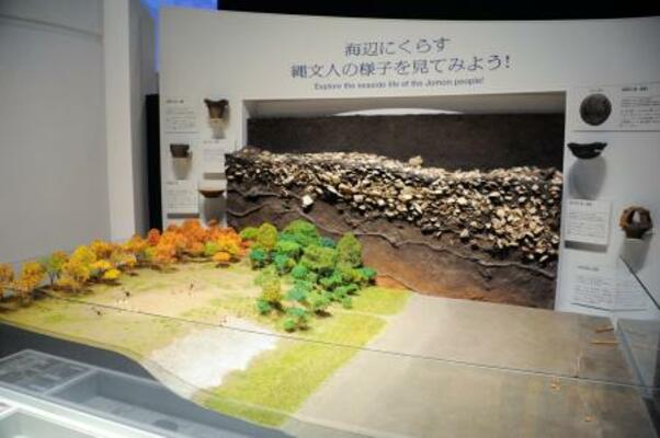 　貝層の標本と縄文の集落を表した模型（手前）＝東京都品川区の品川歴史館