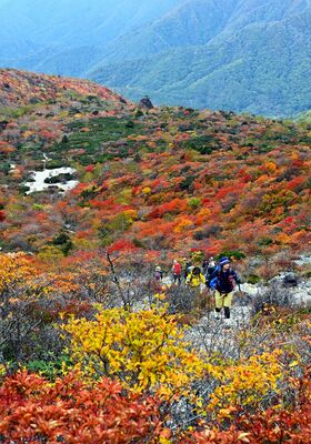 紅葉が見頃を迎え、色鮮やかに染まった姥ケ平周辺＝13日午前10時20分、那須町湯本