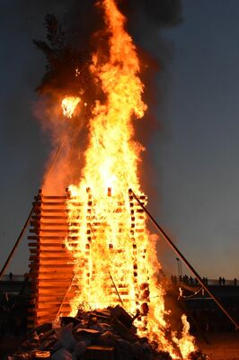 正月飾りなどがたき上げられたどんと祭