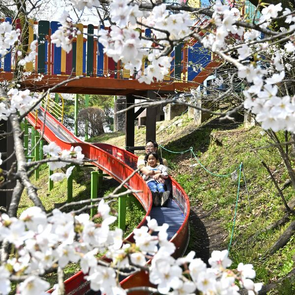八幡山公園（宇都宮）