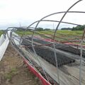 下野、農業被害６件で2670万円　３日に発生の突風、降ひょうで　県の補助対象外には見舞金