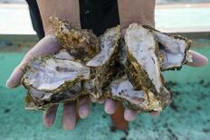 「来年の分も死んでいる」カキの大量死で悲鳴、救うカギは「海底」にあった?