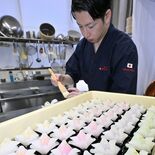 かぶと和菓子、カラフルに　「こどもの日」前に製造ピーク　真岡の和菓子店