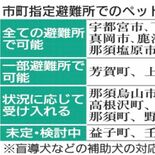 栃木県内12市が全避難所でペット受け入れ　能登半島地震から３ヶ月　アレ…