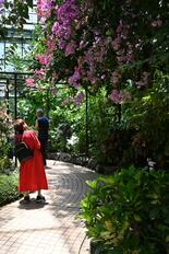 亜熱帯植物で南国気分