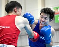 ボクシング平塚、重量挙げ塚田が優勝　銃剣道など準Ｖ