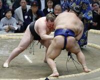 豊昇龍7勝目、霧島勝ち越し