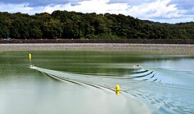 水質悪化「予見は困難だった」国体競技中止の市貝町が検証報告