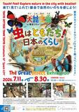 カブトムシと夏の思い出を