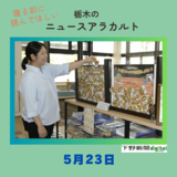 5月23日の栃木県内ニュース　「ブレッキー折り紙でブレックス応援しよう」など３本をお届けします