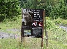 走って下山中、ヒグマに遭遇