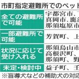 栃木県内12市が全避難所でペット受け入れ　能登半島地震から３ヶ月　アレルギー配慮など対応模索