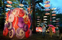 鬼怒川温泉彩る「月あかり花回廊」