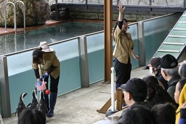 動物の生態を楽しく学ぼう！　那須どうぶつ王国で新ステージショー　学校などの教育プログラムに活用も