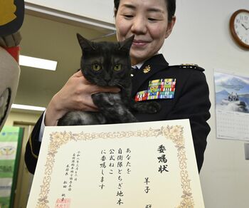 公式ネコに「羊子ちゃん」 自衛隊栃木地方協力本部が委嘱｜地域の話題