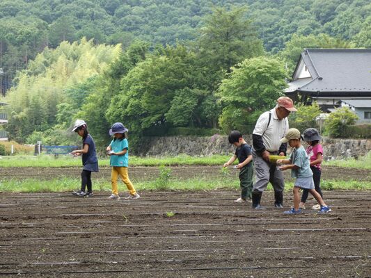 鈴木さんに教わりながら列になって種をまく園児