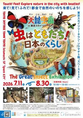 「大昆虫展in東京スカイツリータウン」のチラシ