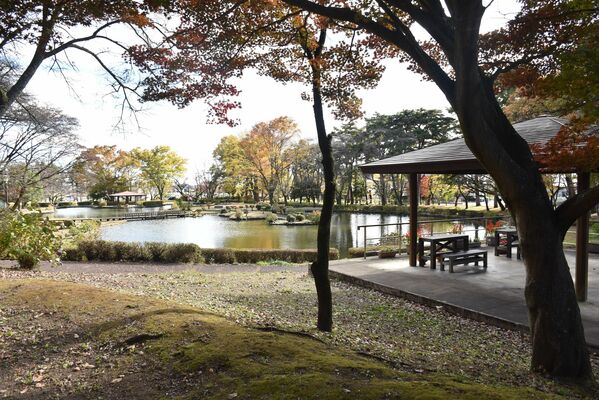 市がネーミングライツパートナーを募集した烏ケ森公園
