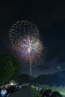 夏の夜空を彩った「日光花火大会」