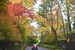 紅葉の見頃を迎えた華蔵院の坂