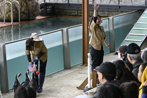 ペンギンが登場したステージ