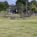 小型犬も大型犬も遊びに来て　小山市がドッグラン本格整備へ　事前に市内愛…