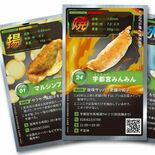 栃木県民の自慢は？好きな方言は？　ソニー生命が2023年調査結果発表