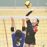 春高バレー栃木県予選が開幕　女子、高根沢など３回戦へ