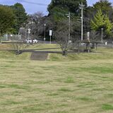 小型犬も大型犬も遊びに来て　小山市がドッグラン本格整備へ　事前に市内愛犬家らのニーズ調査し工夫