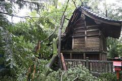 勇姿復活に協力を