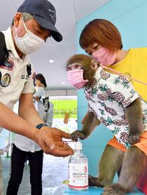 日光さる軍団 営業再開