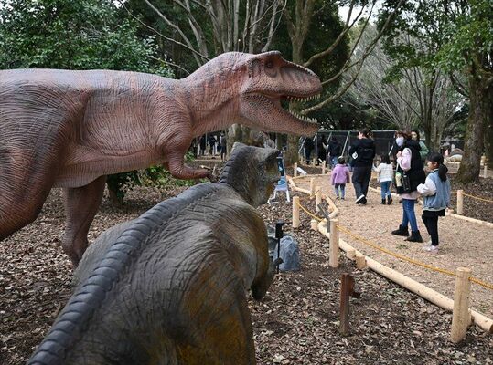 オープンした迫力満点の大恐竜パーク