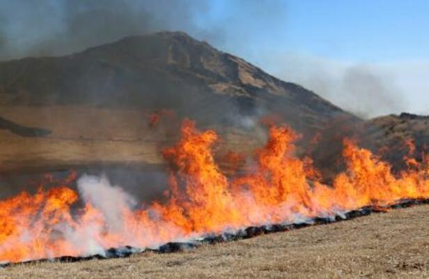 熊本県・阿蘇山の草千里一帯で行われた野焼き=21日午後