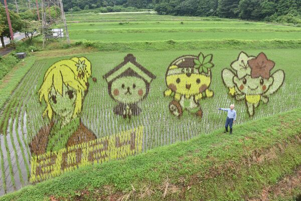 中野さんの田んぼアート