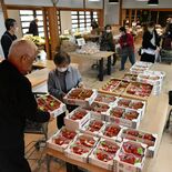 高根沢・元気あっぷむらの農産物直売所が１年ぶり再開　24日にはグランピ…
