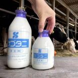 消えゆく瓶入り牛乳　広島の生産量20年間で10分の１に　大型洗浄機の維…