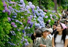 東海、関東甲信が梅雨入り