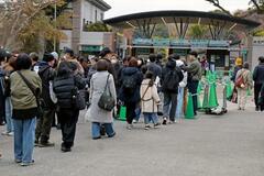 別れ惜しみ上野動物園パンダに列