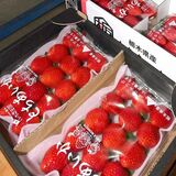 県産イチゴの魅力発信　17、18日、渋谷で「とちぎのいちごふぇす」　食べ比べにスイーツも