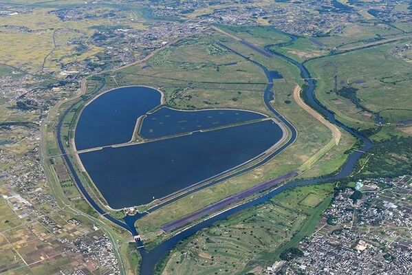 緑豊かな湿地が広がる渡良瀬遊水地（国交省利根川上流河川事務所提供）