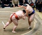大相撲、２敗で首位５人の混戦