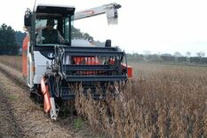 日本型食生活に欠かせない大豆　全国９位の生産規模誇る