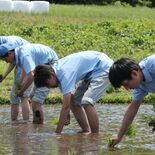 “宮沢賢治の米”復活へ　田植えから日本酒造りまで　鹿沼南高3年生が地元…
