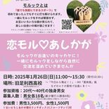 足利で26日、恋活応援イベント　「モルック」体験で出会いを　ランチ交流も