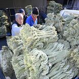 塩谷で正月飾り用しめ縄の出荷最盛期　よい新年へ真心込め　大小さまざま3…