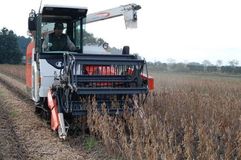 日本型食生活に欠かせない大豆　全国９位の生産規模誇る