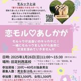 足利で26日、恋活応援イベント　「モルック」体験で出会いを　ランチ交流も